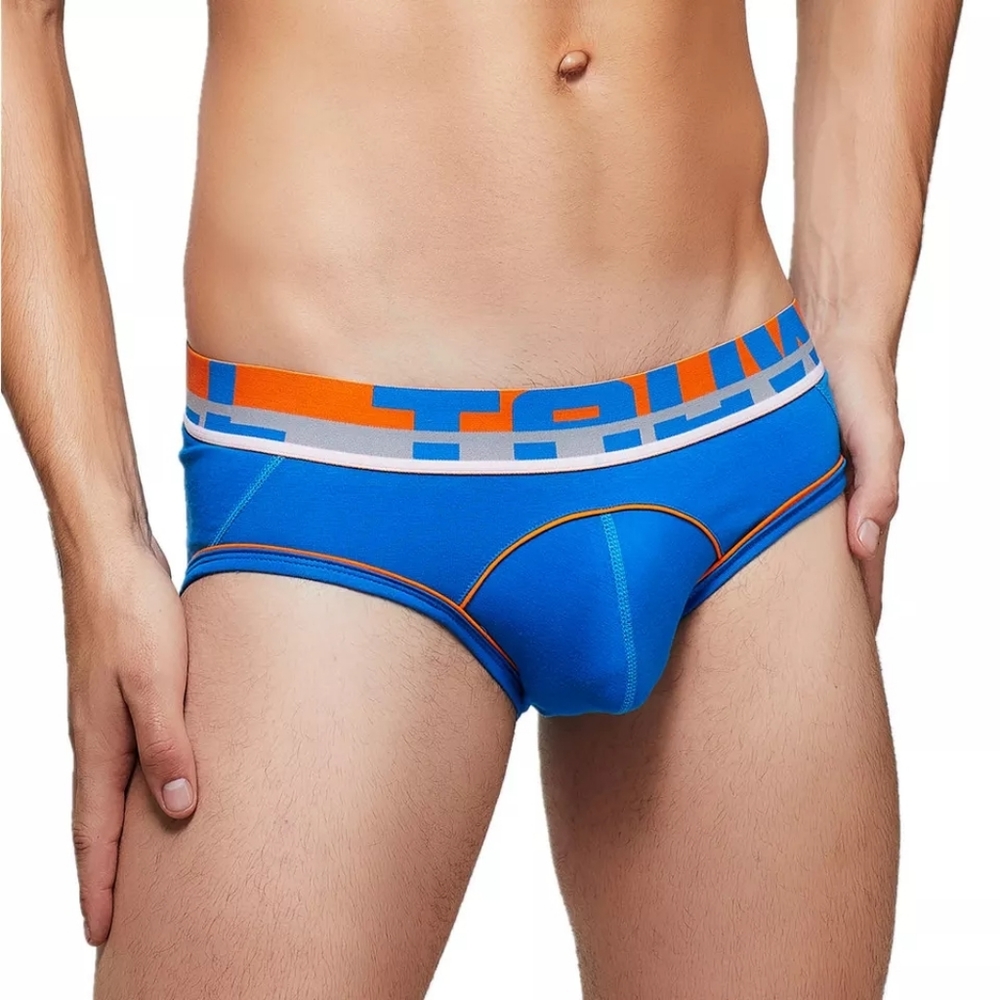 TAUWELL Brief